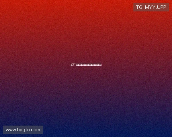 第31届金龙杯篮球赛精彩回顾与赛场风云纪实