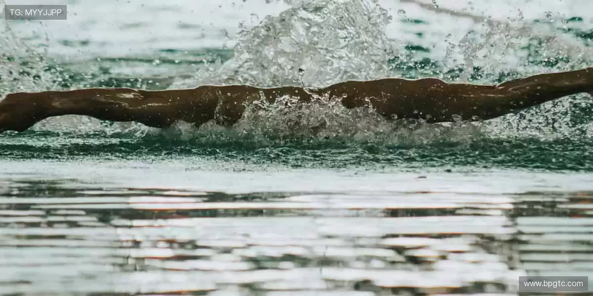 🏆【限量首发】冠军同款，专属你的荣耀珍藏！